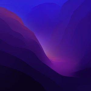 Test02